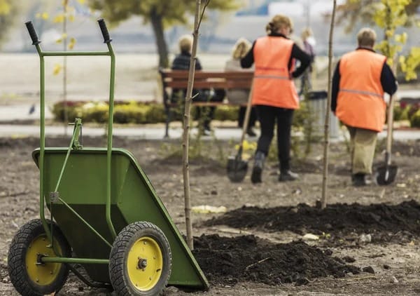 depositphotos_87331750-stock-photo-mulching-bed-around-hostas-and.jpg